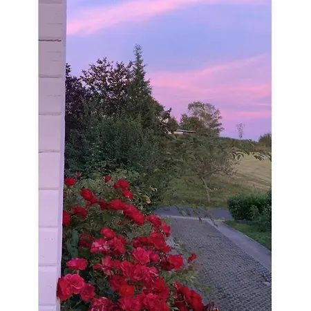 Maison Grande Fleur Comfortable * Metterich