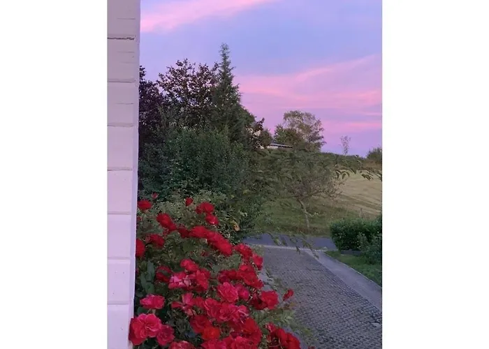 Maison Grande Fleur Comfortable * Metterich